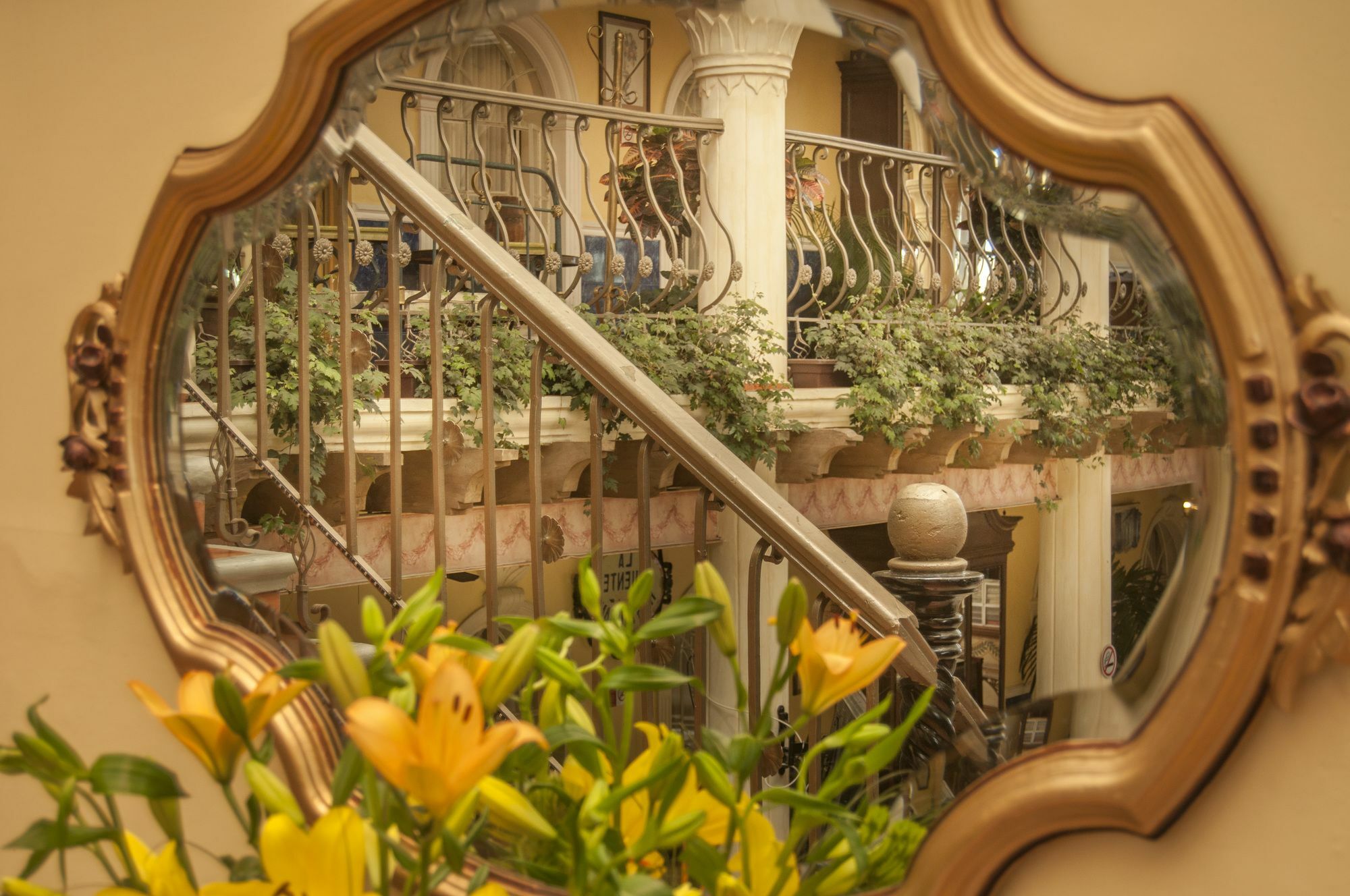 Centro Hotel Villa Las Margaritas Халапа Екстер'єр фото